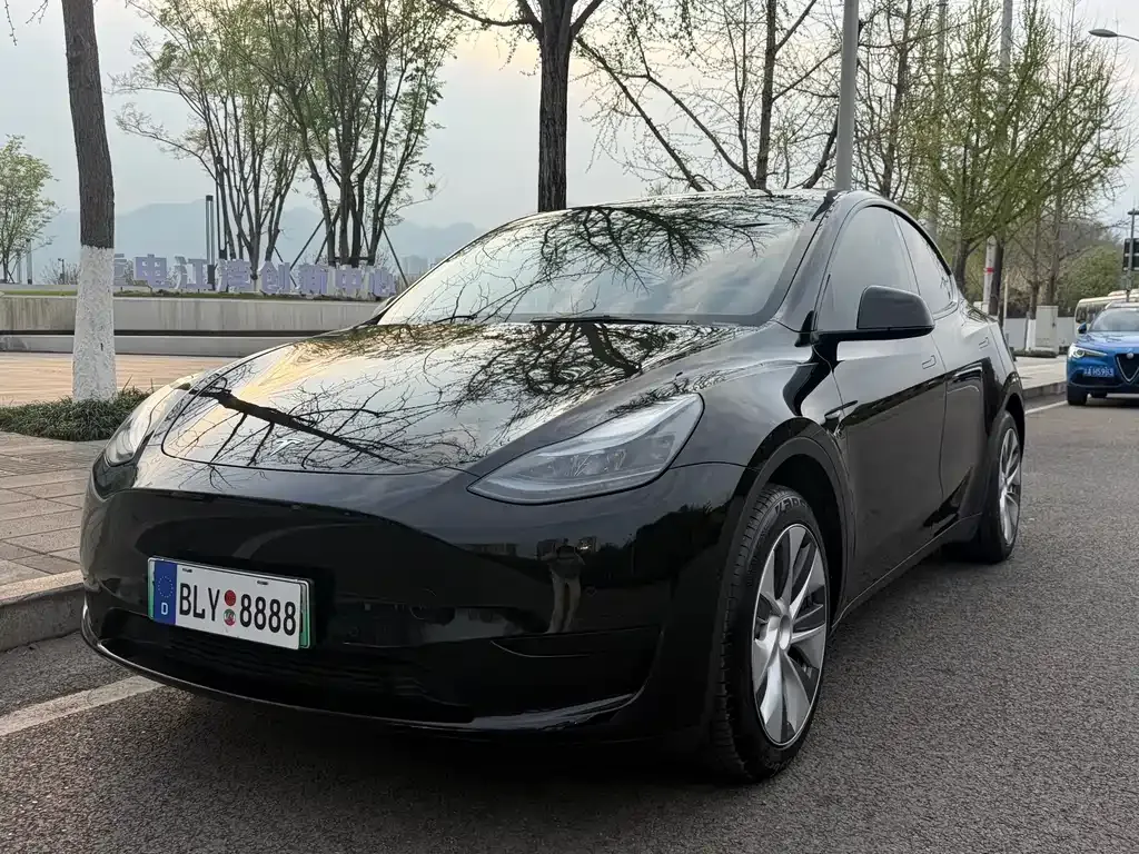 Tesla Model Y — фото 1