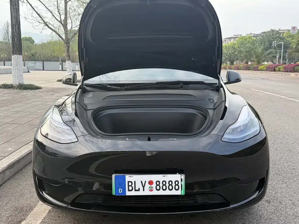 Tesla Model Y — фото 7