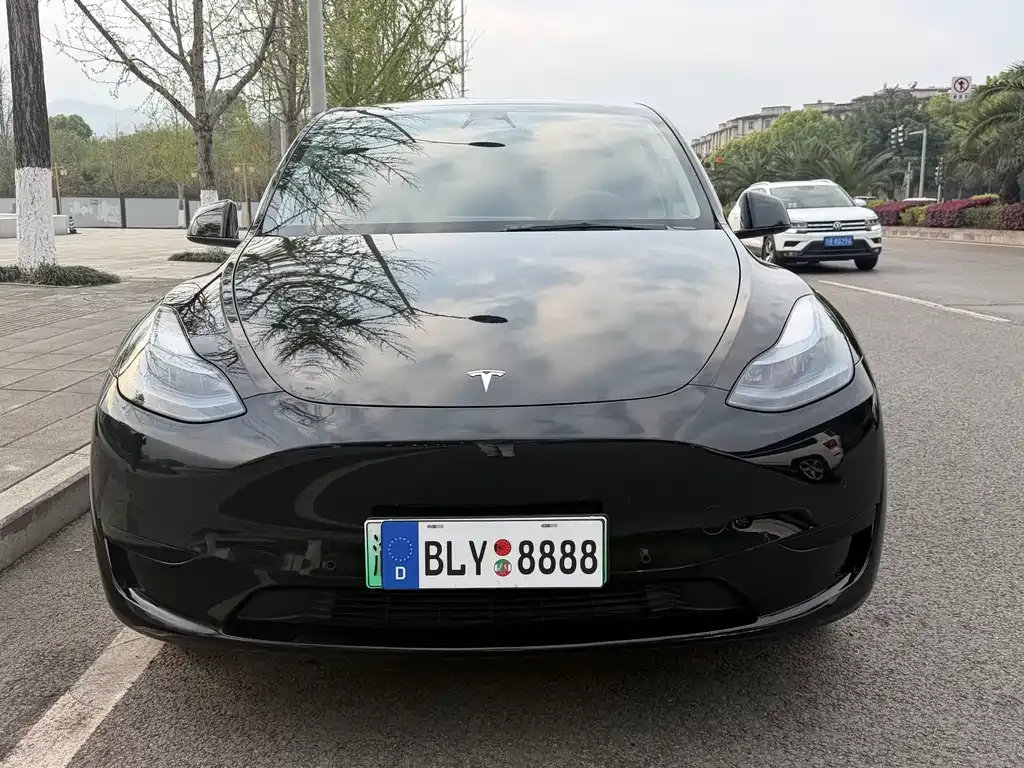Tesla Model Y — фото 8