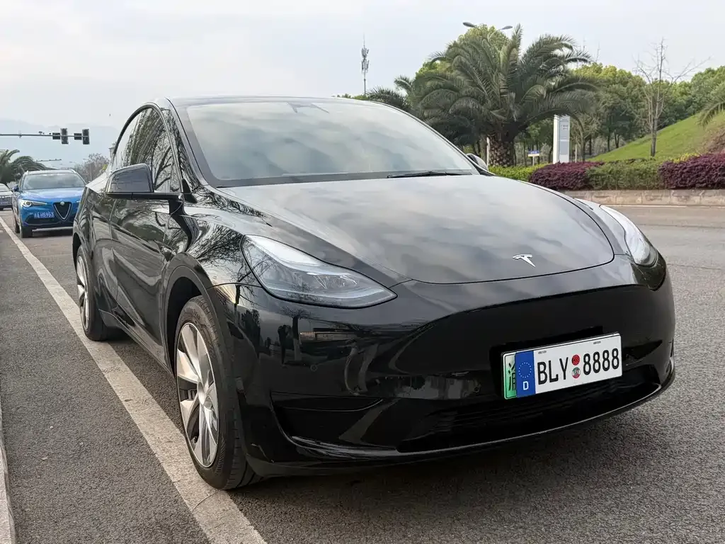 Tesla Model Y — фото 6