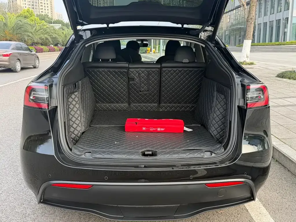 Tesla Model Y — фото 5