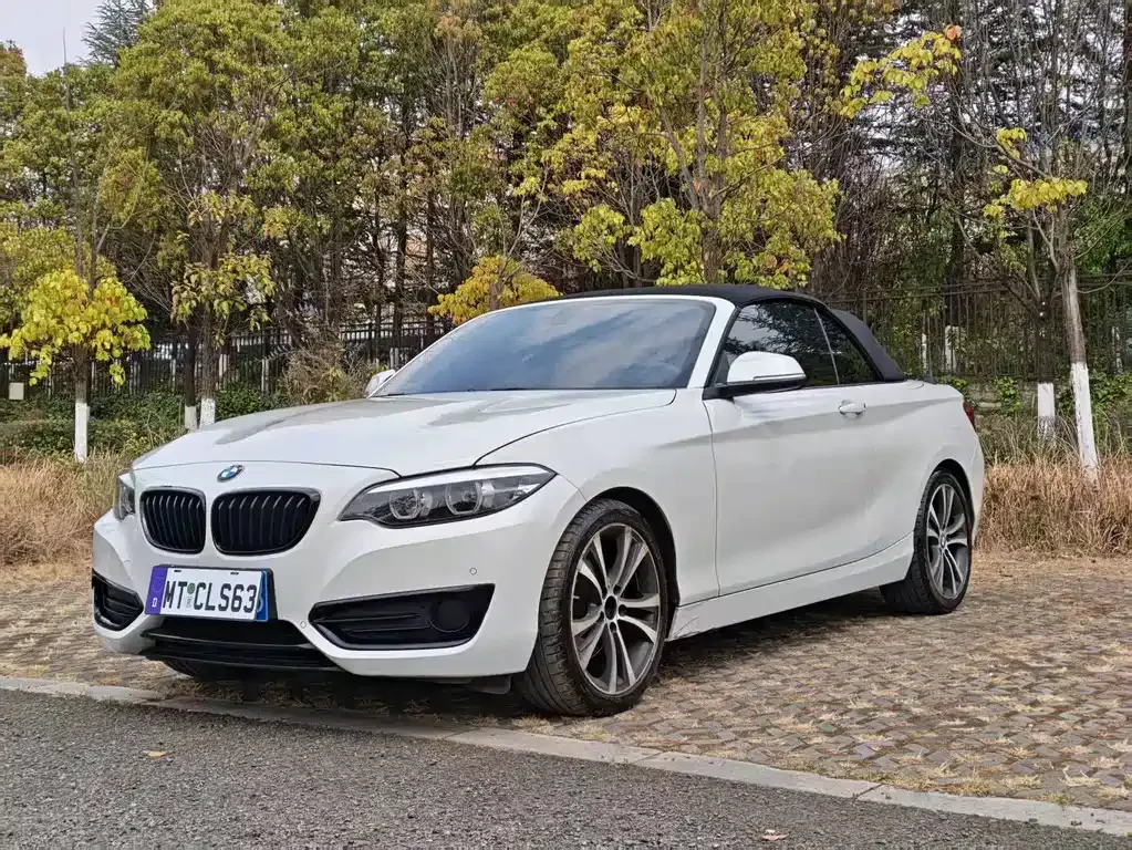 BMW 2 Series (Import) 2021 из CN, фото 1