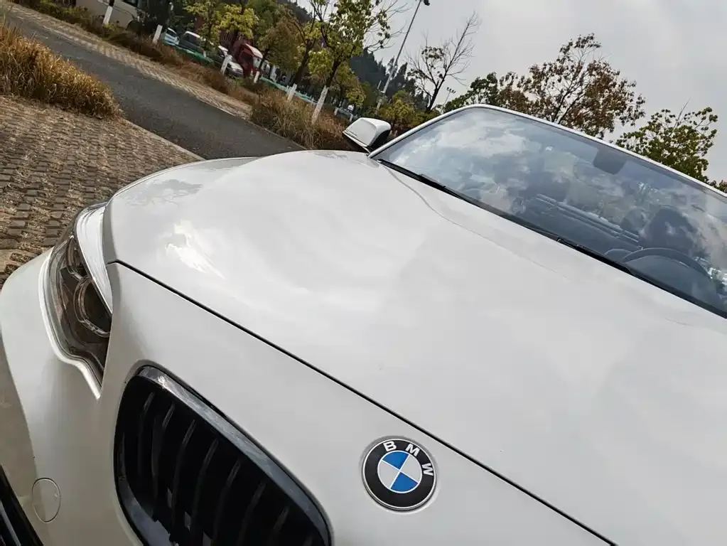 BMW 2 Series (Import) 2021 из CN, фото 4