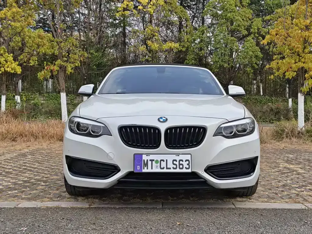 BMW 2 Series (Import) 2021 из CN, фото 2