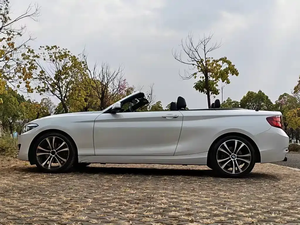 BMW 2 Series (Import) 2021 из CN, фото 10