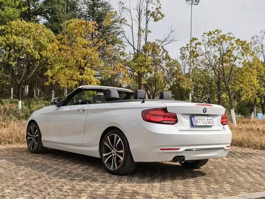 BMW 2 Series (Import) 2021 из CN, фото 8