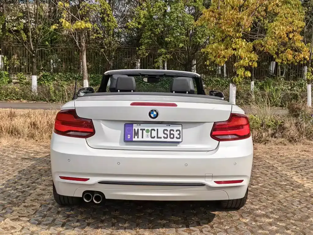 BMW 2 Series (Import) 2021 из CN, фото 3
