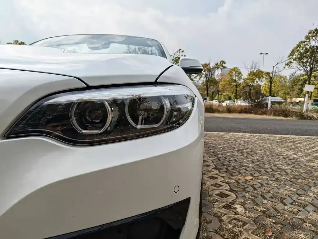 BMW 2 Series (Import) 2021 из CN, фото 7