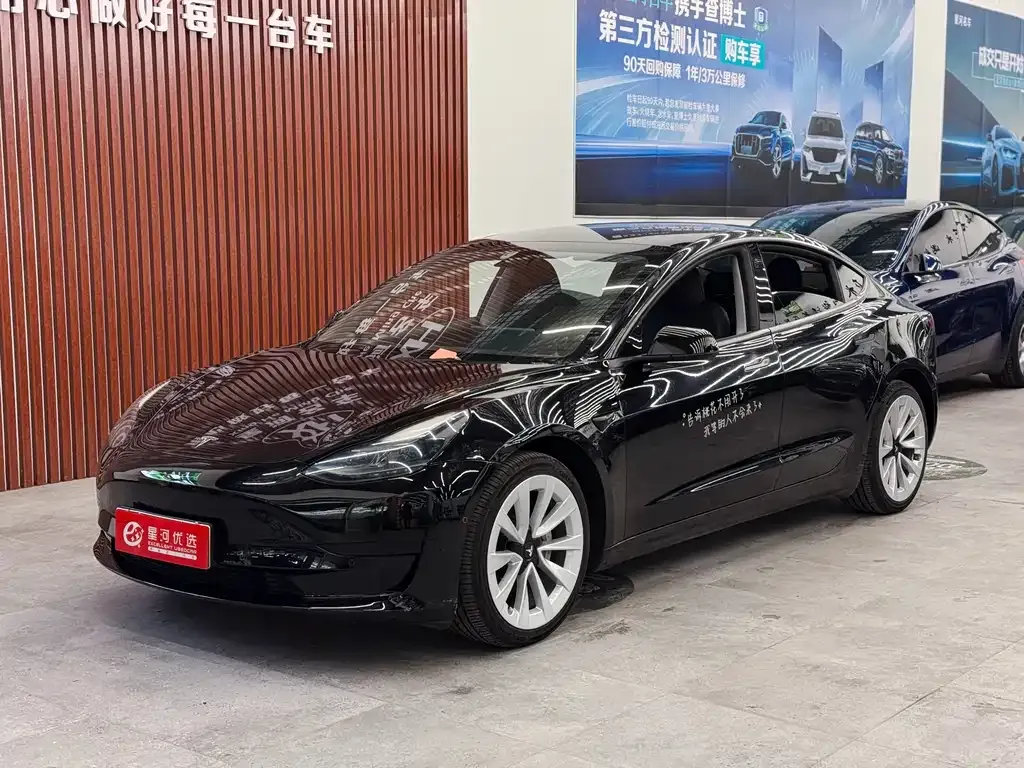 Tesla Model 3 2021 из CN, фото 1