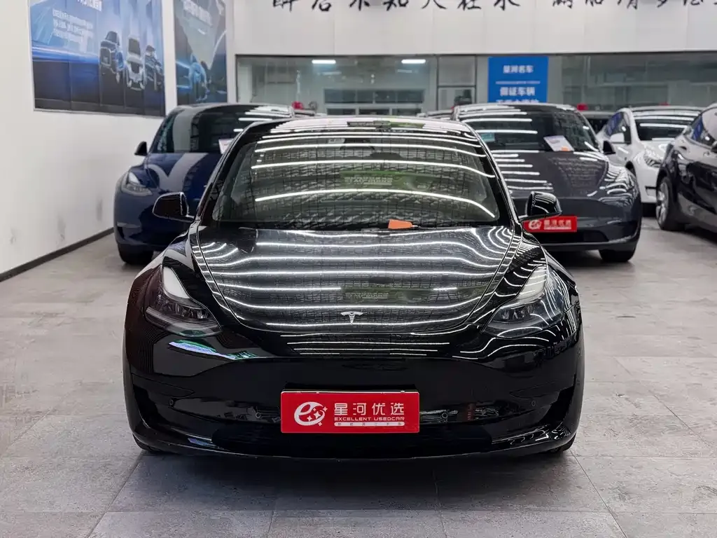 Tesla Model 3 2021 из CN, фото 8