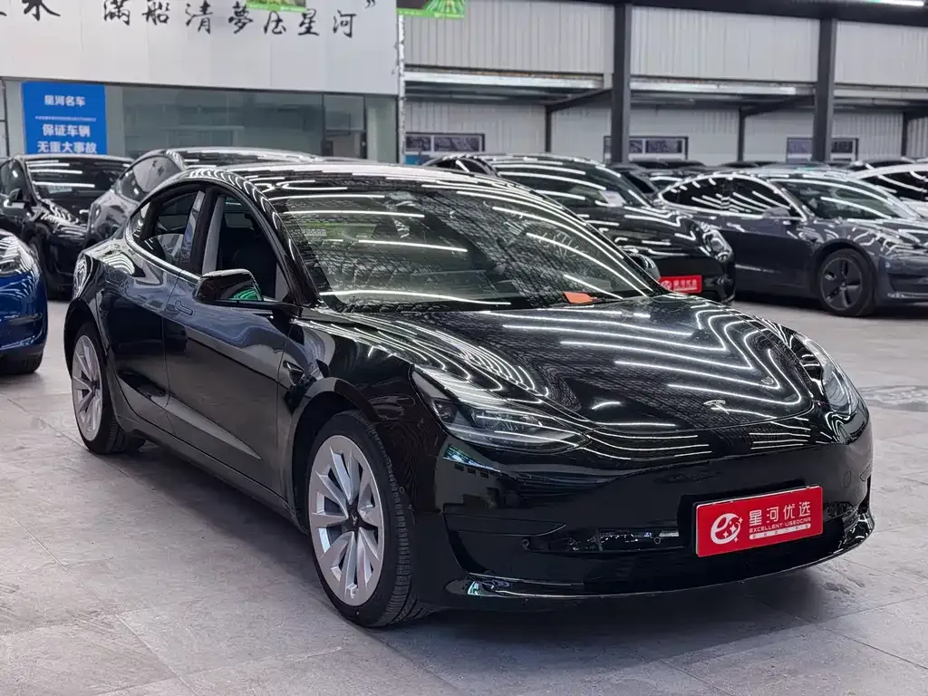 Tesla Model 3 2021 из CN, фото 6