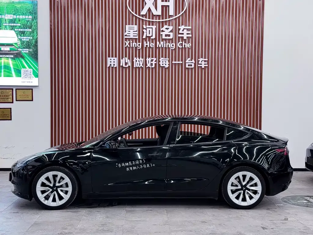 Tesla Model 3 2021 из CN, фото 5