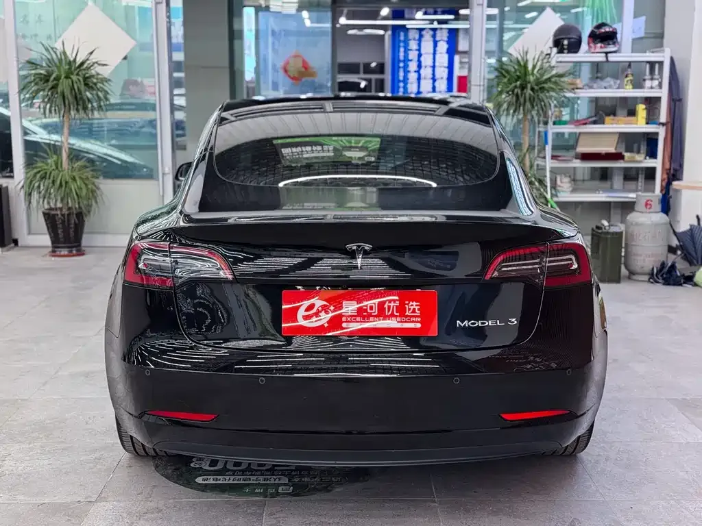Tesla Model 3 2021 из CN, фото 7