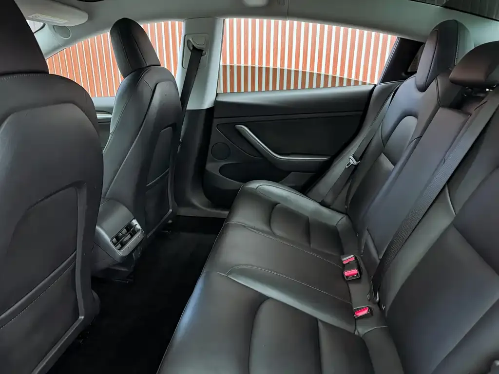 Tesla Model 3 2021 из CN, фото 4