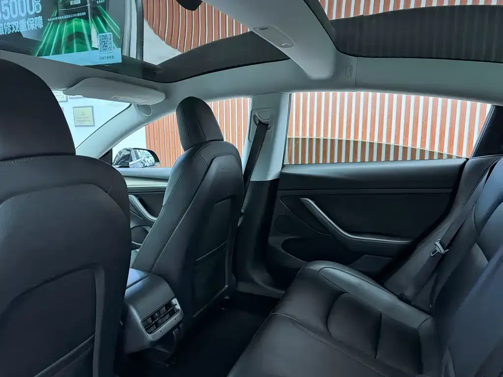 Tesla Model 3 2021 из CN, фото 2