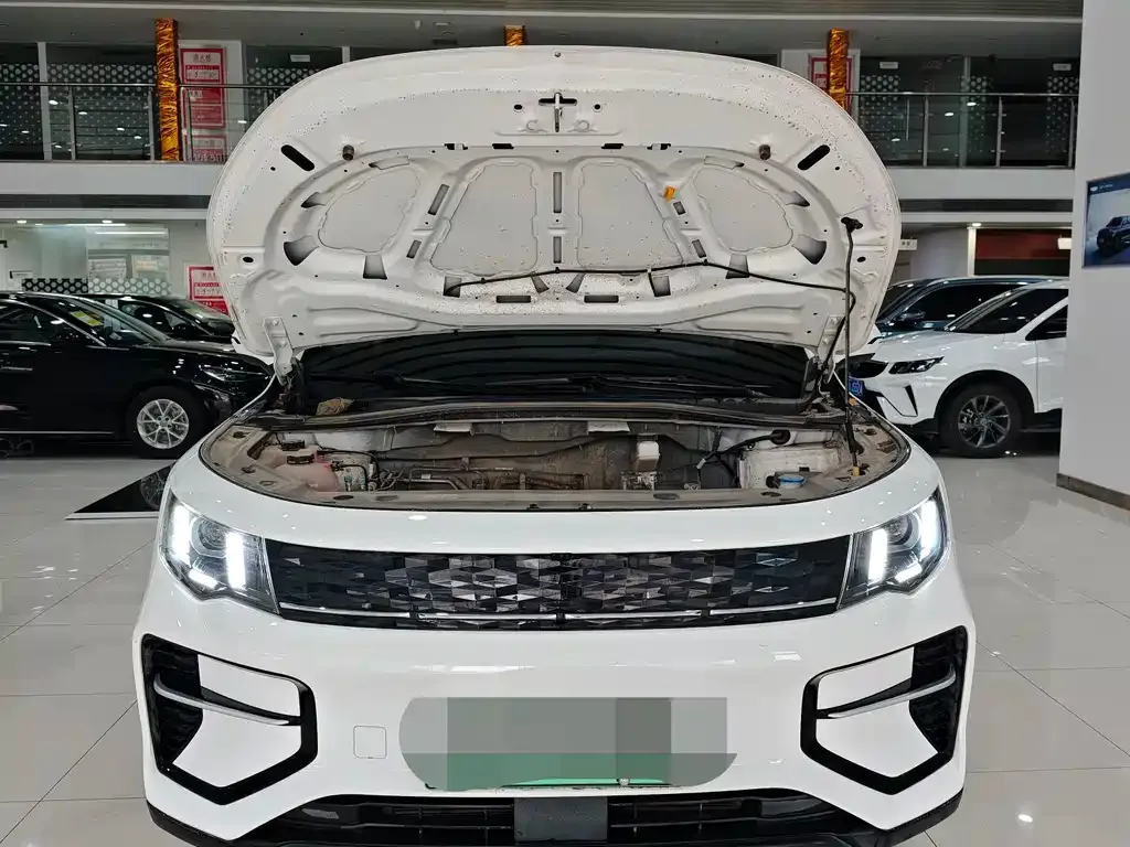 Geely 吉利雷达金刚 — фото 5
