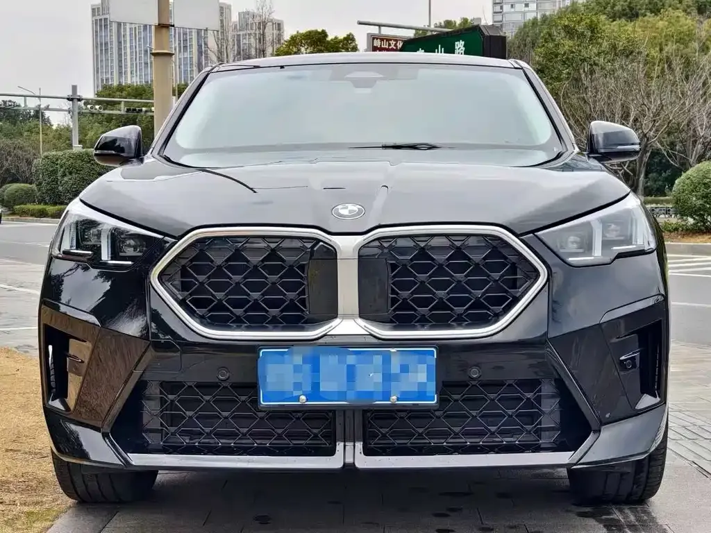 BMW X2 (Import) — фото 1