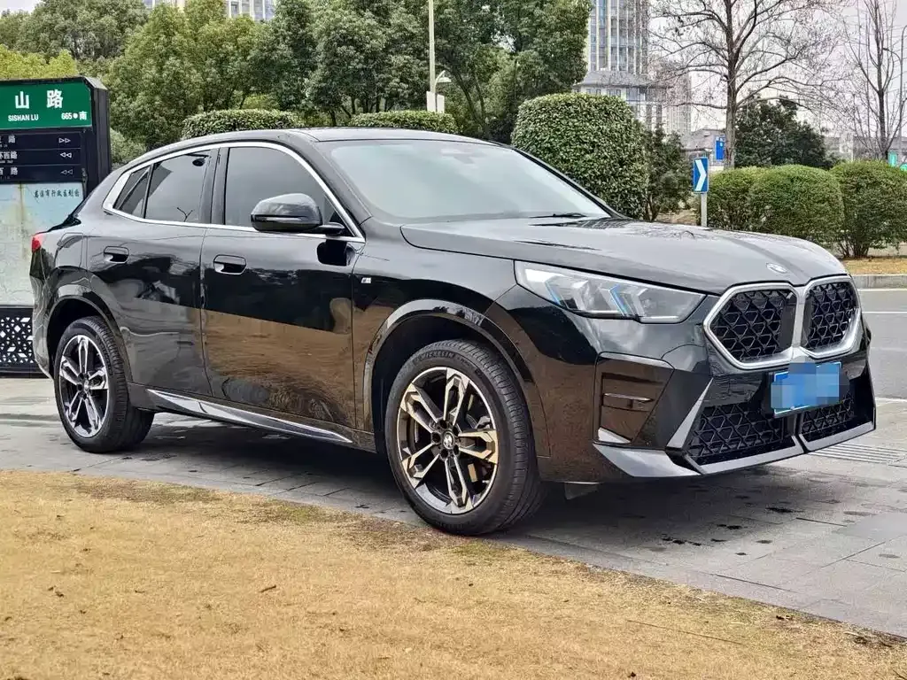 BMW X2 (Import) — фото 9