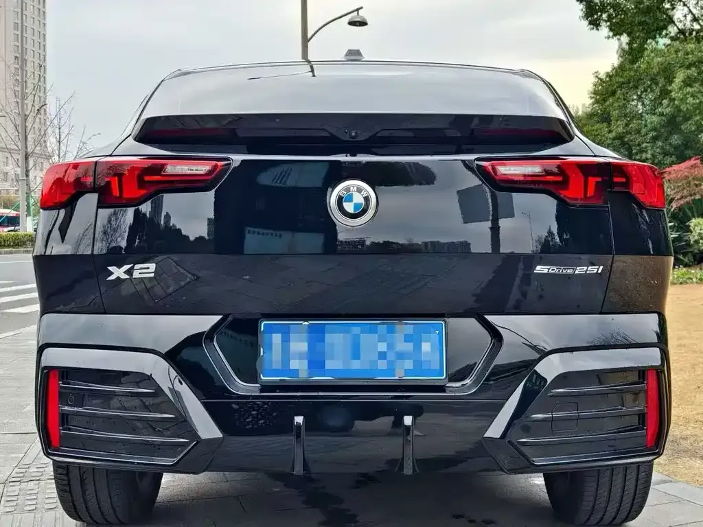 BMW X2 (Import) — фото 6