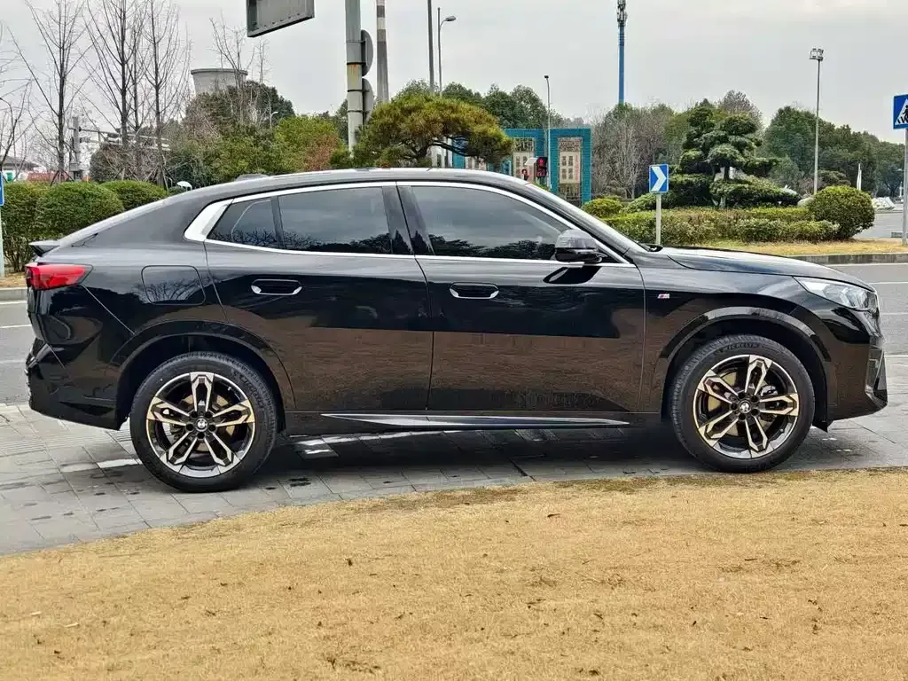 BMW X2 (Import) — фото 8