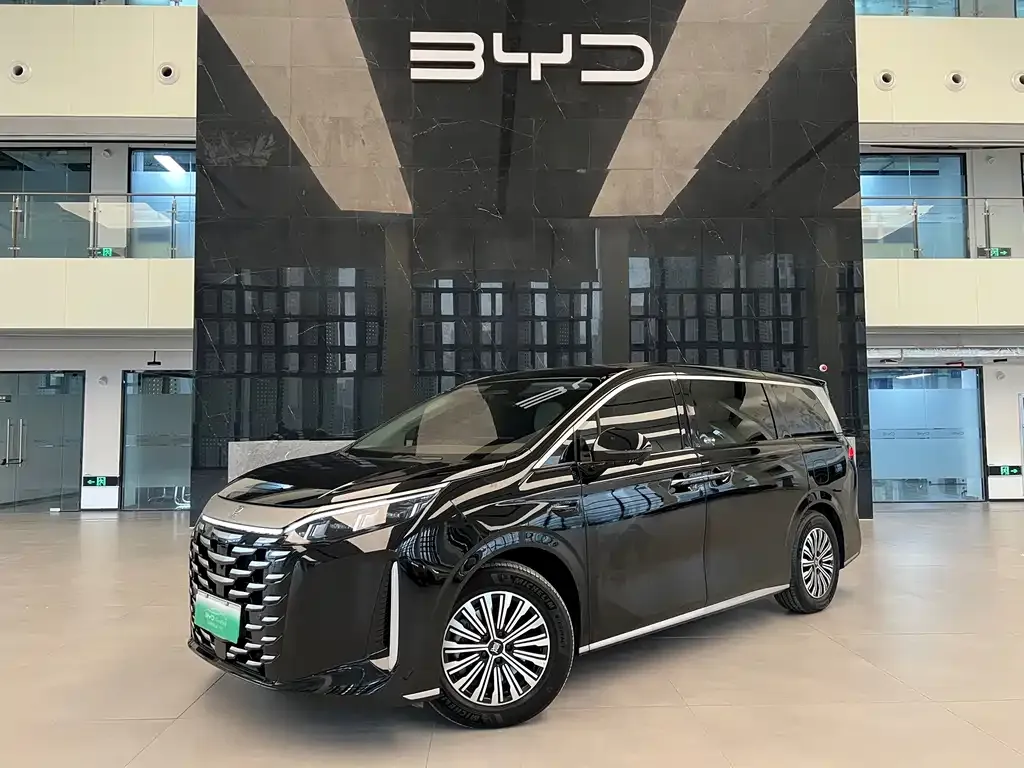 BYD Xia 2025 из CN, фото 1