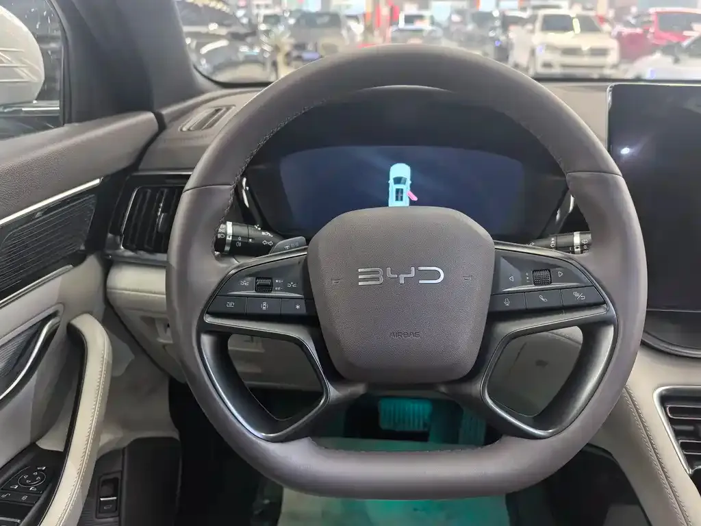 BYD PLUS New Energy — фото 10