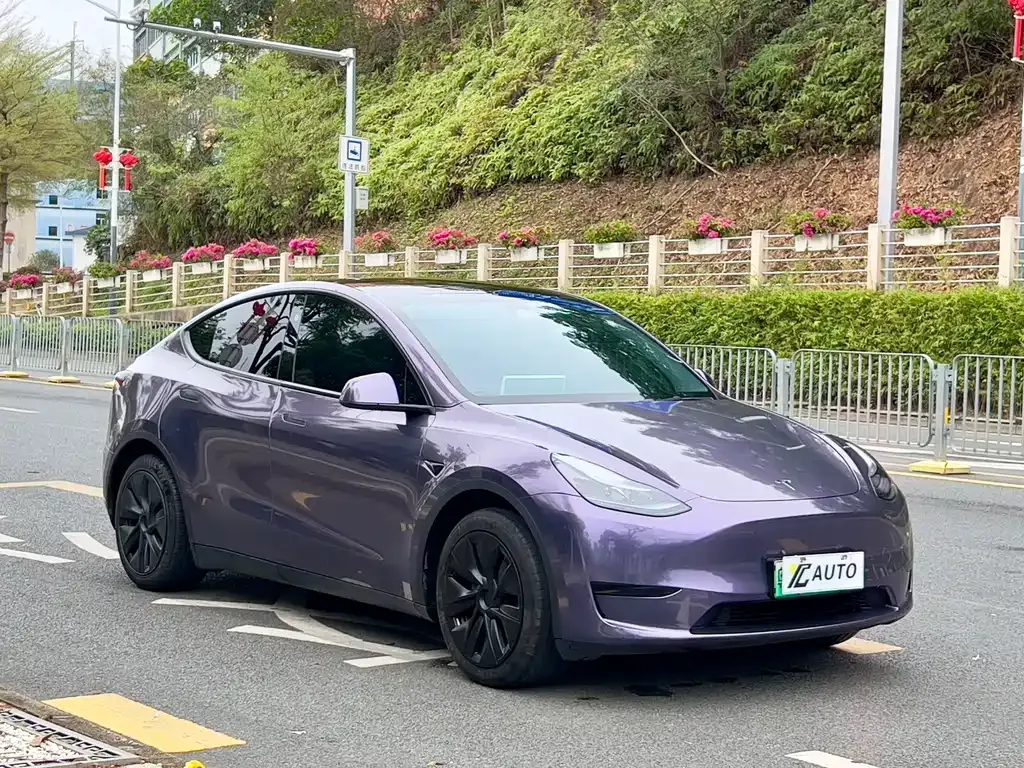 Tesla Model Y 2024 из CN, фото 9