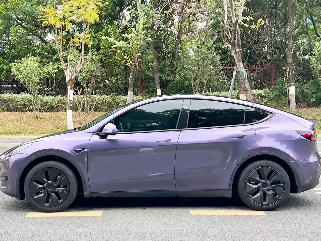 Tesla Model Y 2024 из CN, фото 6