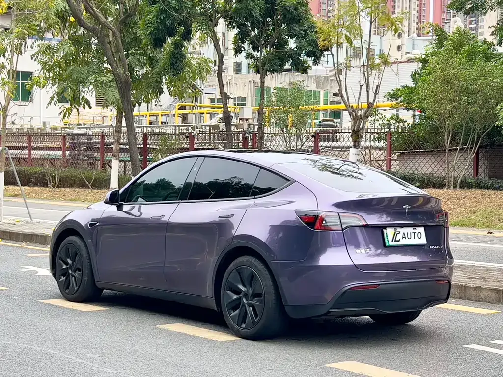 Tesla Model Y 2024 из CN, фото 10