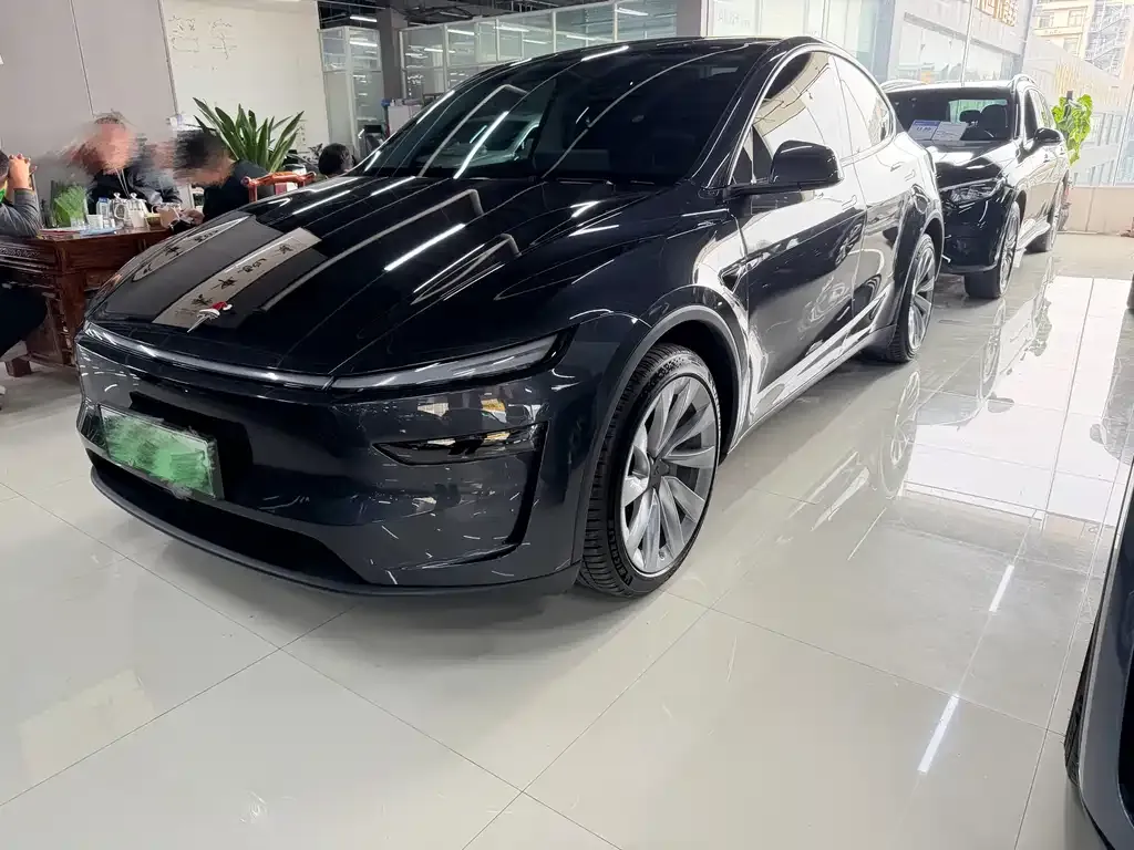 Tesla Model Y — фото 1