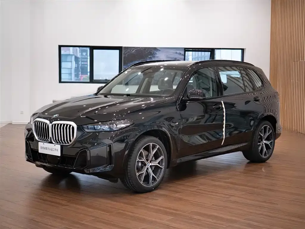 BMW X5 — фото 4