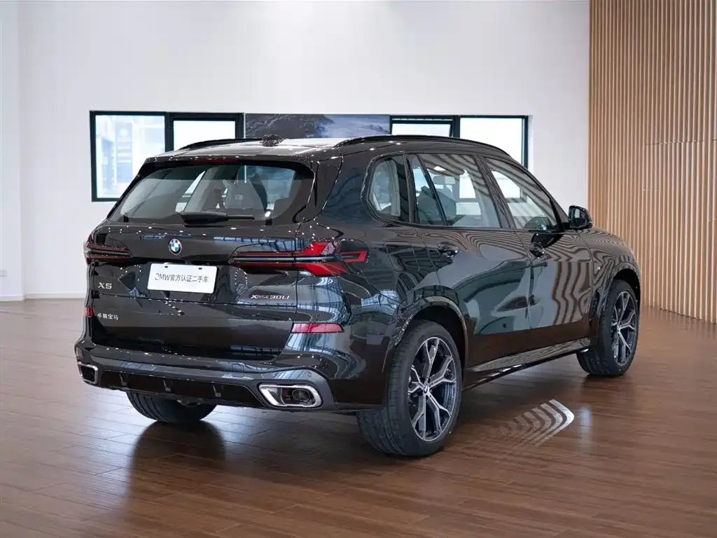 BMW X5 — фото 9