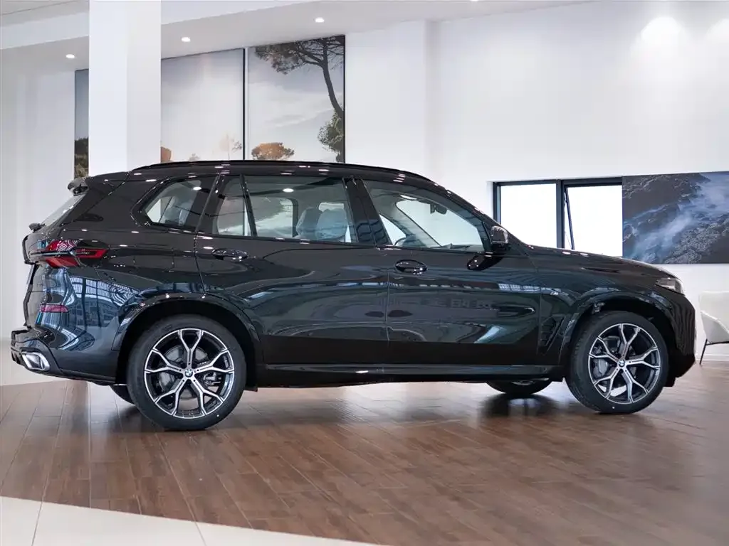 BMW X5 — фото 10