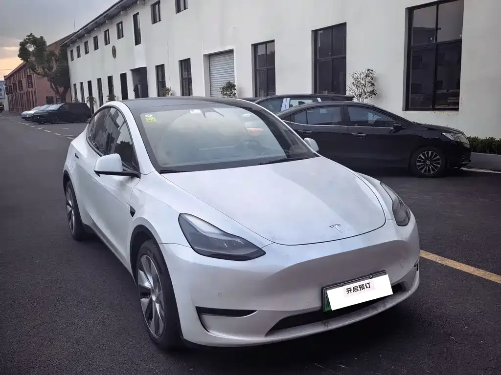 Tesla Model Y — фото 2