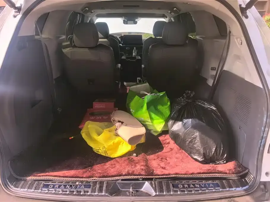Toyota Granvia 2024 из CN, фото 9