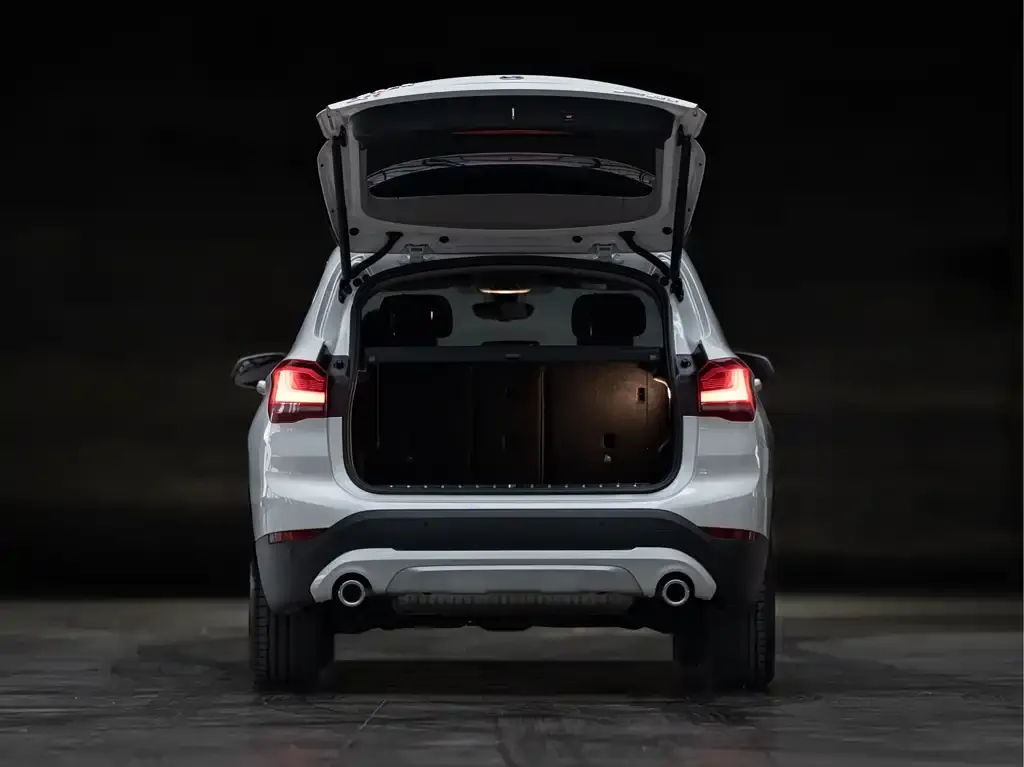 BMW X1 2023 из CN, фото 10