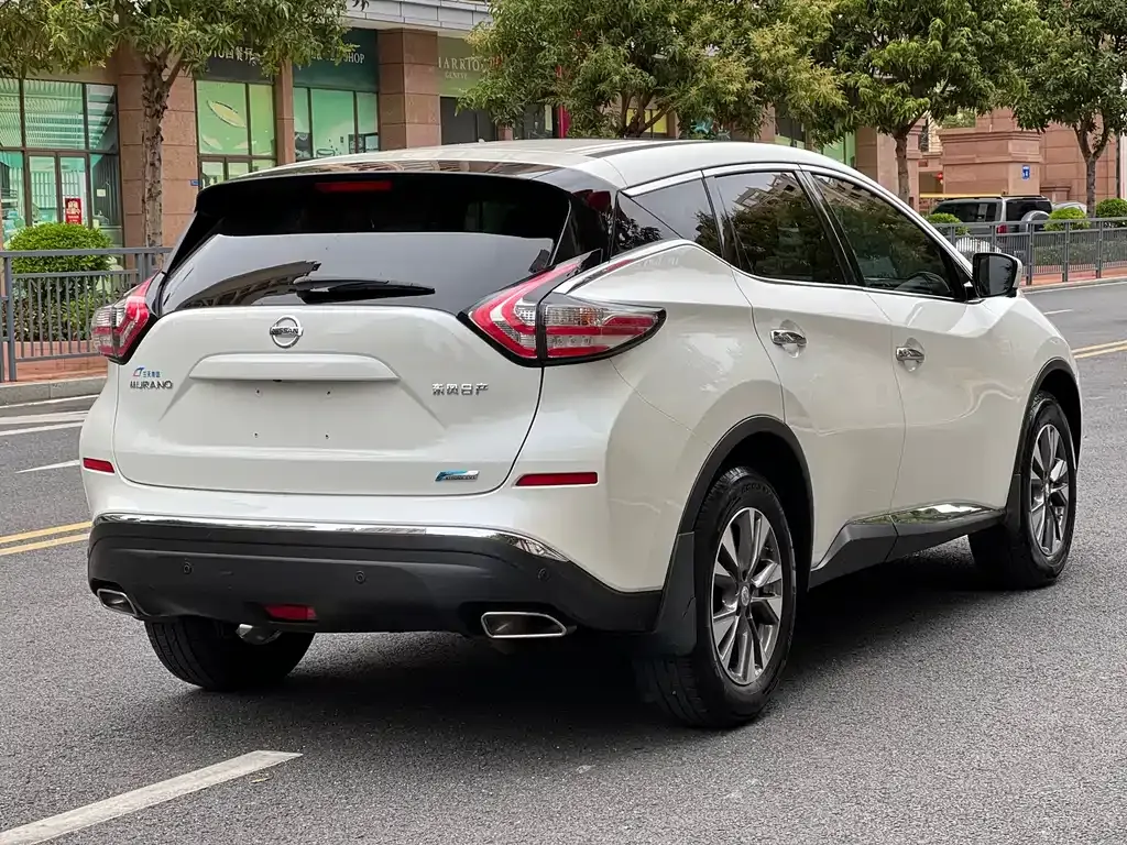 Nissan Murano 2021 из CN, фото 5