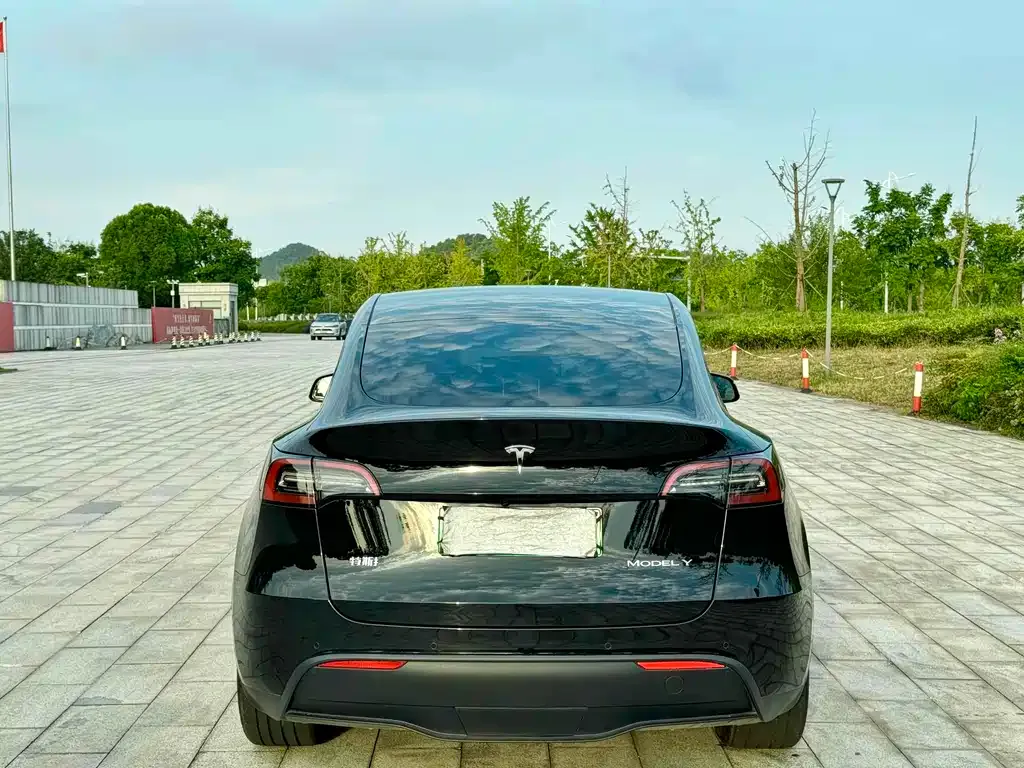 Tesla Model Y 2023 из CN, фото 4