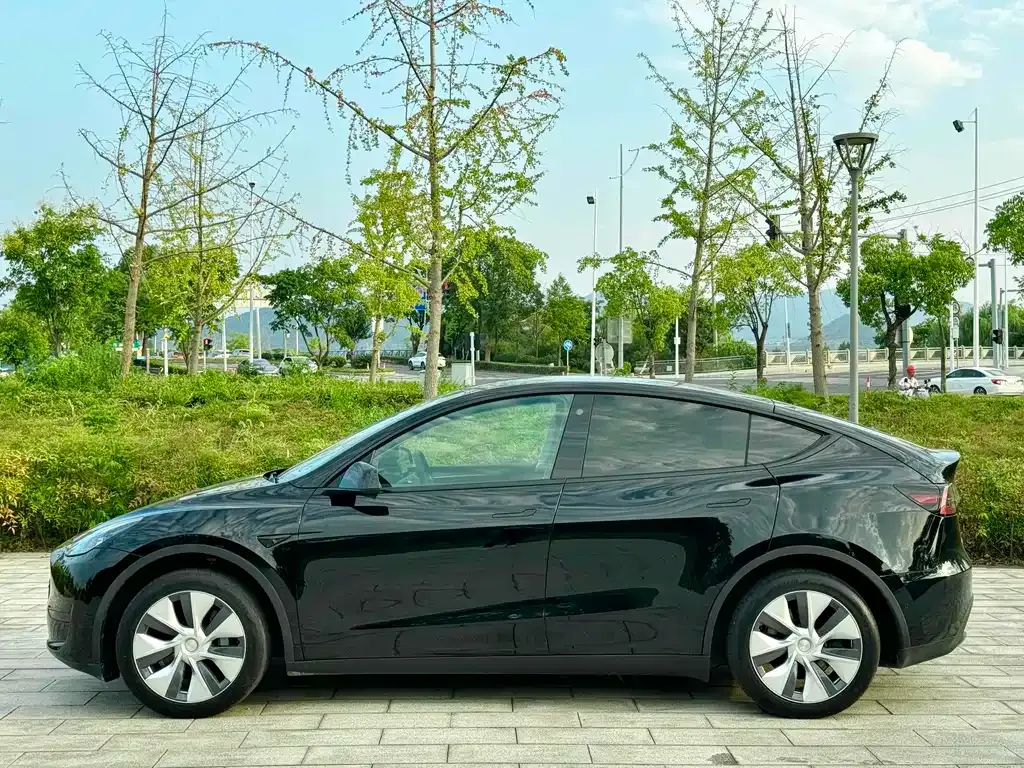 Tesla Model Y 2023 из CN, фото 10