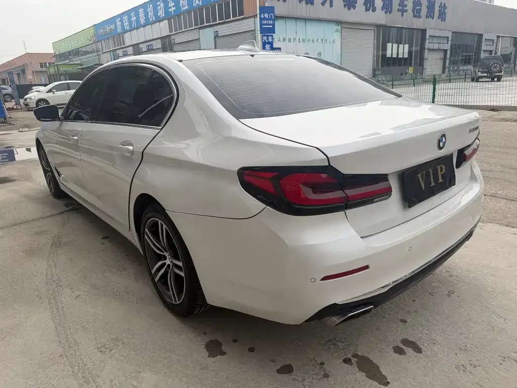 BMW 5 Series 2023 из CN, фото 7