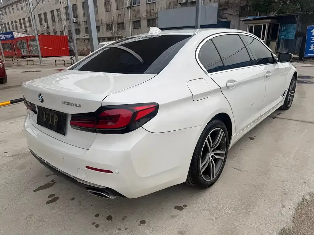 BMW 5 Series 2023 из CN, фото 5