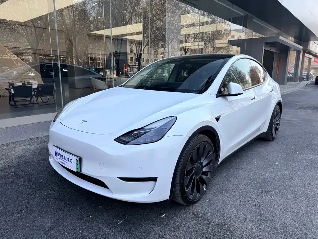 Tesla Model Y — фото 1