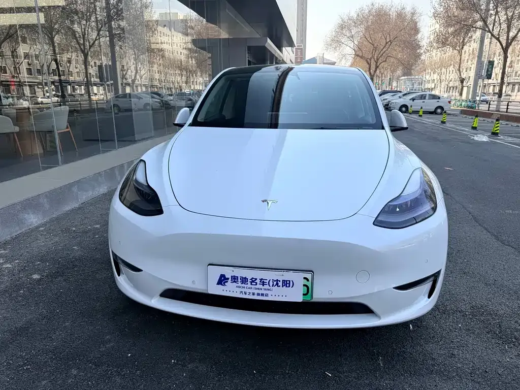 Tesla Model Y — фото 10