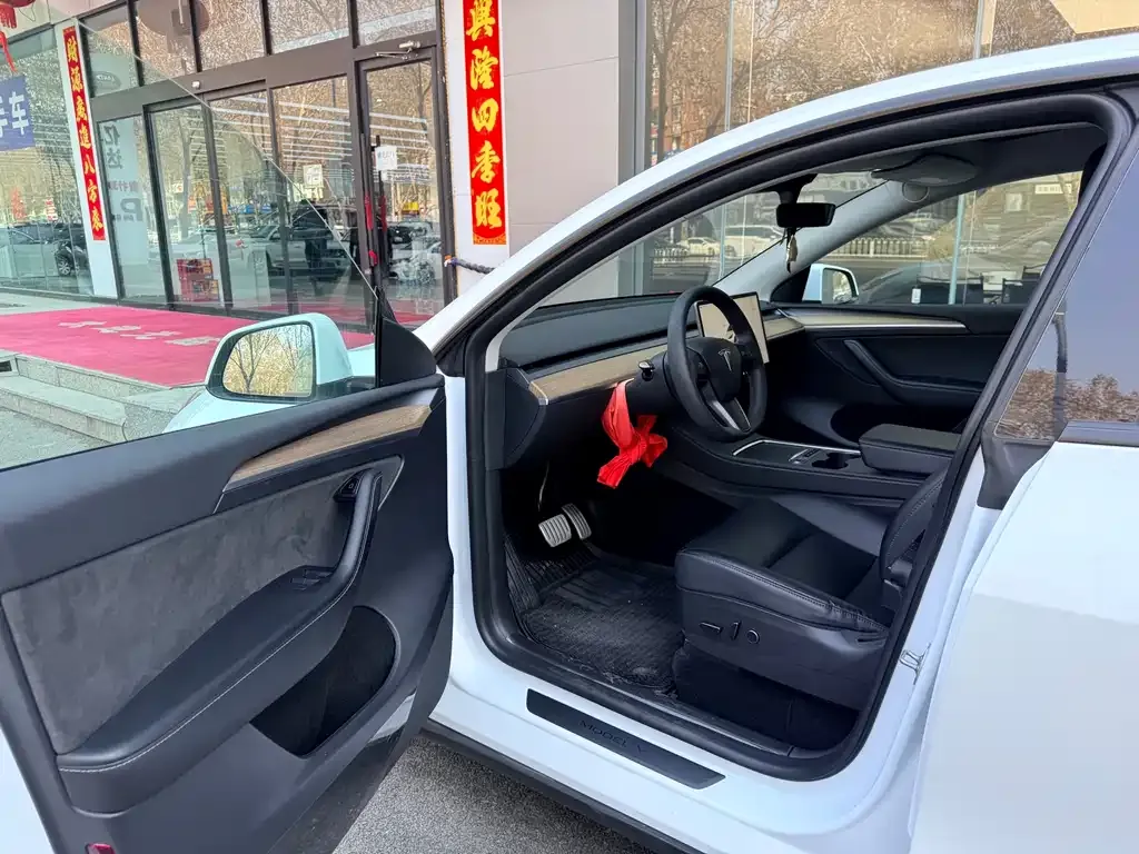 Tesla Model Y — фото 2