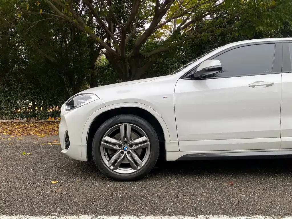 BMW X2 2021 из CN, фото 6