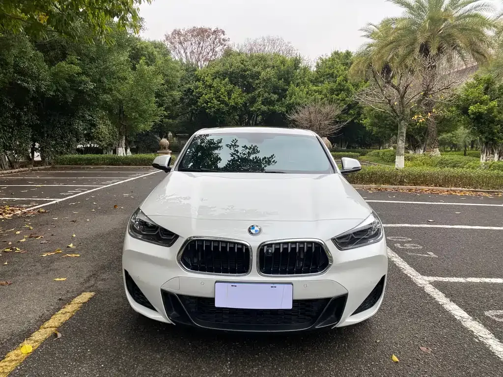 BMW X2 2021 из CN, фото 2