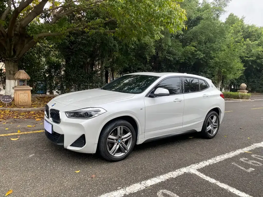 BMW X2 2021 из CN, фото 10