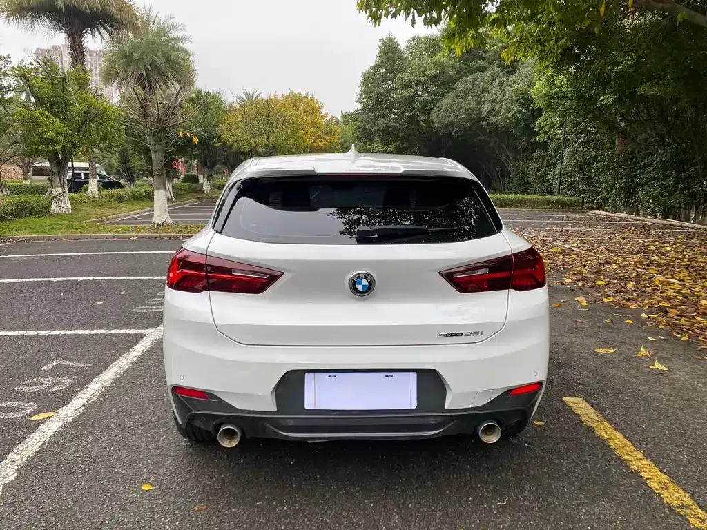 BMW X2 2021 из CN, фото 8