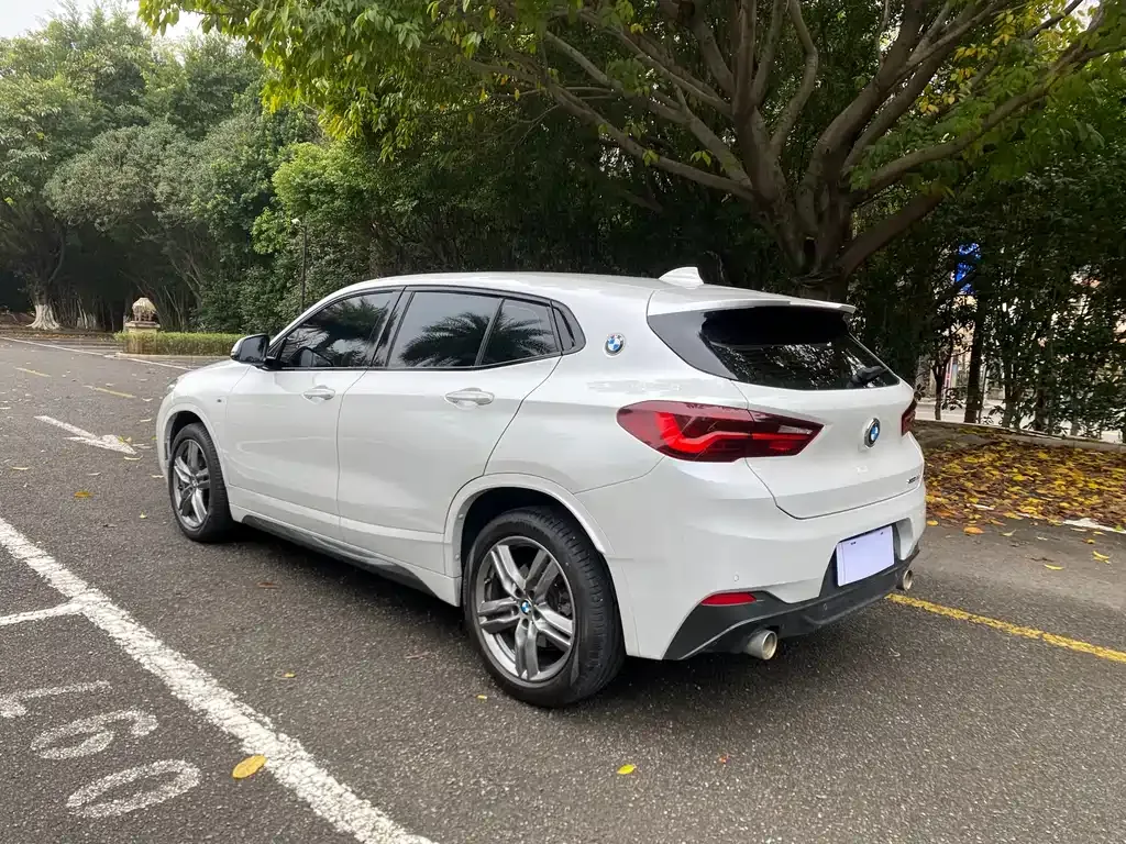 BMW X2 2021 из CN, фото 3