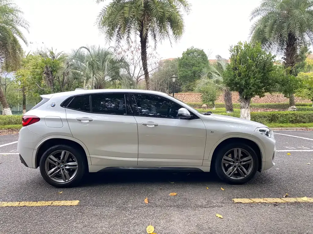 BMW X2 2021 из CN, фото 4